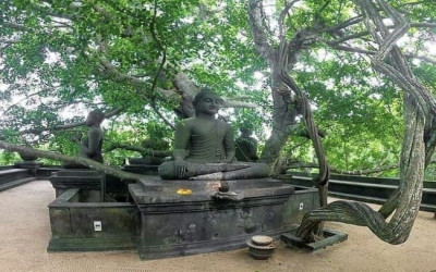 Gallery thumbnail The Hidden Sanctuary of Sri Lanka: A Unique Hotel Jewel for Visionary Investors